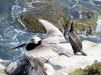 IMG_2203