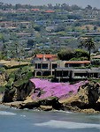 IMG_2211