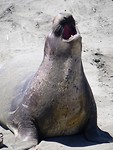 IMG_2217