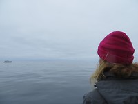 IMG_2233