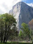 IMG_2266