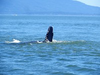 IMG_2280