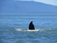 IMG_2282