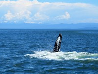 IMG_2284