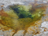 IMG_2307
