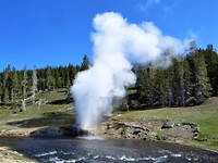IMG_2320