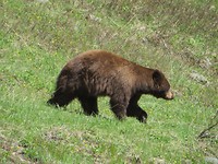 IMG_2459