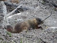 IMG_2480
