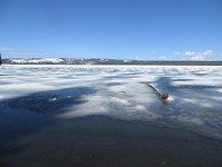 IMG_2486