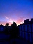 IMG_4955