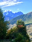 IMG_6888