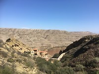 IMG_7118
