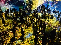 IMG_7599