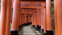 Fushimi Inari Shrine (Fushimi Inari Taisha)