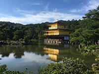 IMG_7817