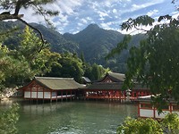 IMG_8137