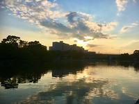 IMG_8329