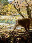 IMG_8476