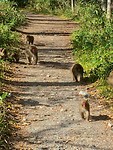 IMG_8503
