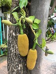 IMG_8642