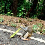 IMG_8698