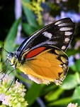 IMG_8733
