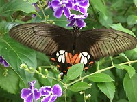 IMG_8741