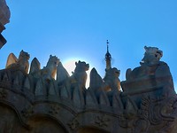 IMG_9248
