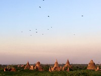 IMG_9289