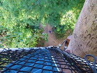 IMG_2645