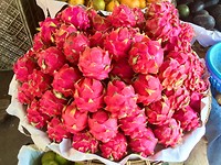 IMG_9172