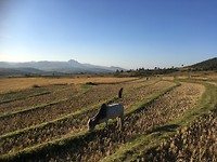 IMG_9412