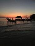 IMG_9648