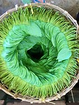 IMG_E9537