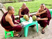 IMG_E9553