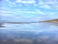 IMG_E9808