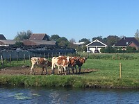 IMG_5432