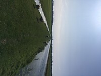IMG_5450