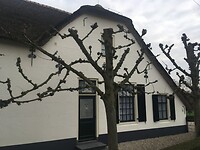 2020-11-28 11.03.45