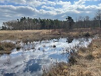 IMG_6703