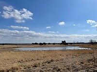 IMG_6705