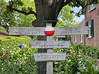 IMG_7234