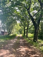 IMG_7245