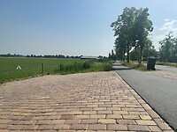 IMG_7249