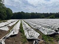IMG_7250