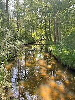 IMG_7252