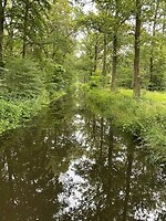 IMG_7341