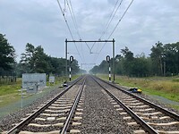 IMG_7349