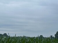 IMG_7357