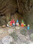 IMG_8528